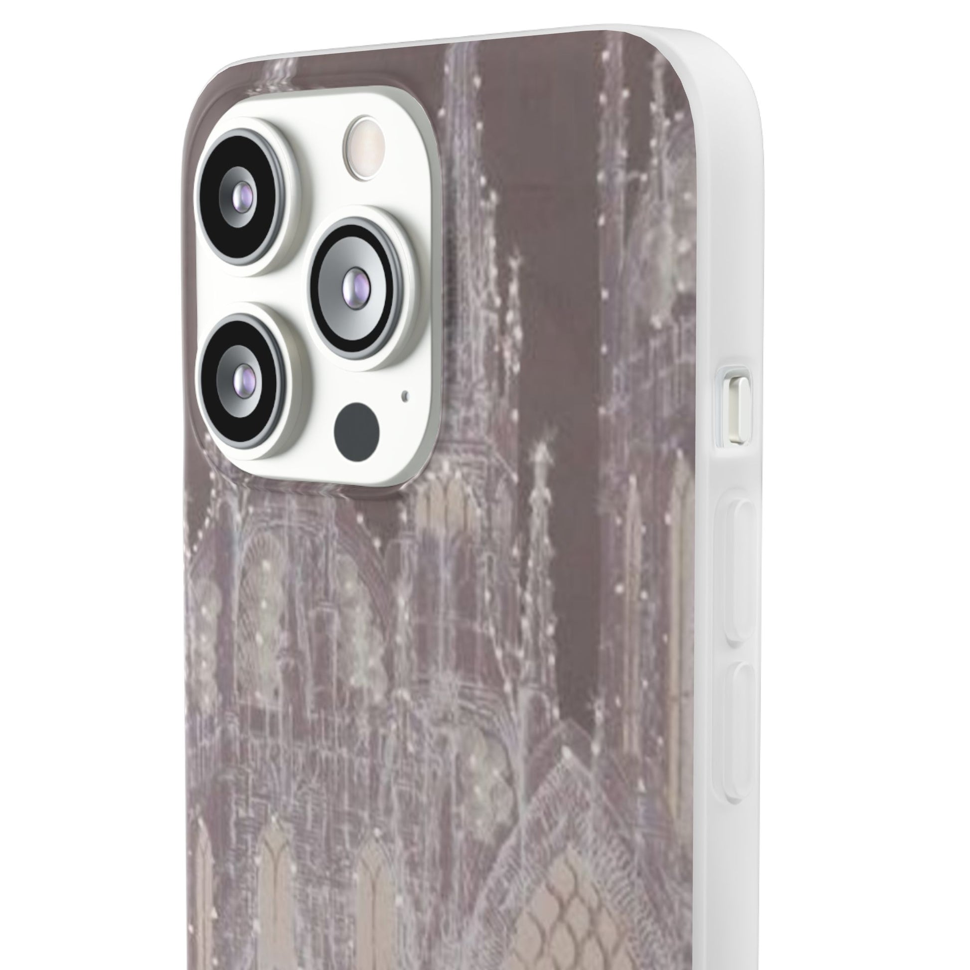 Magical Kingdom Case